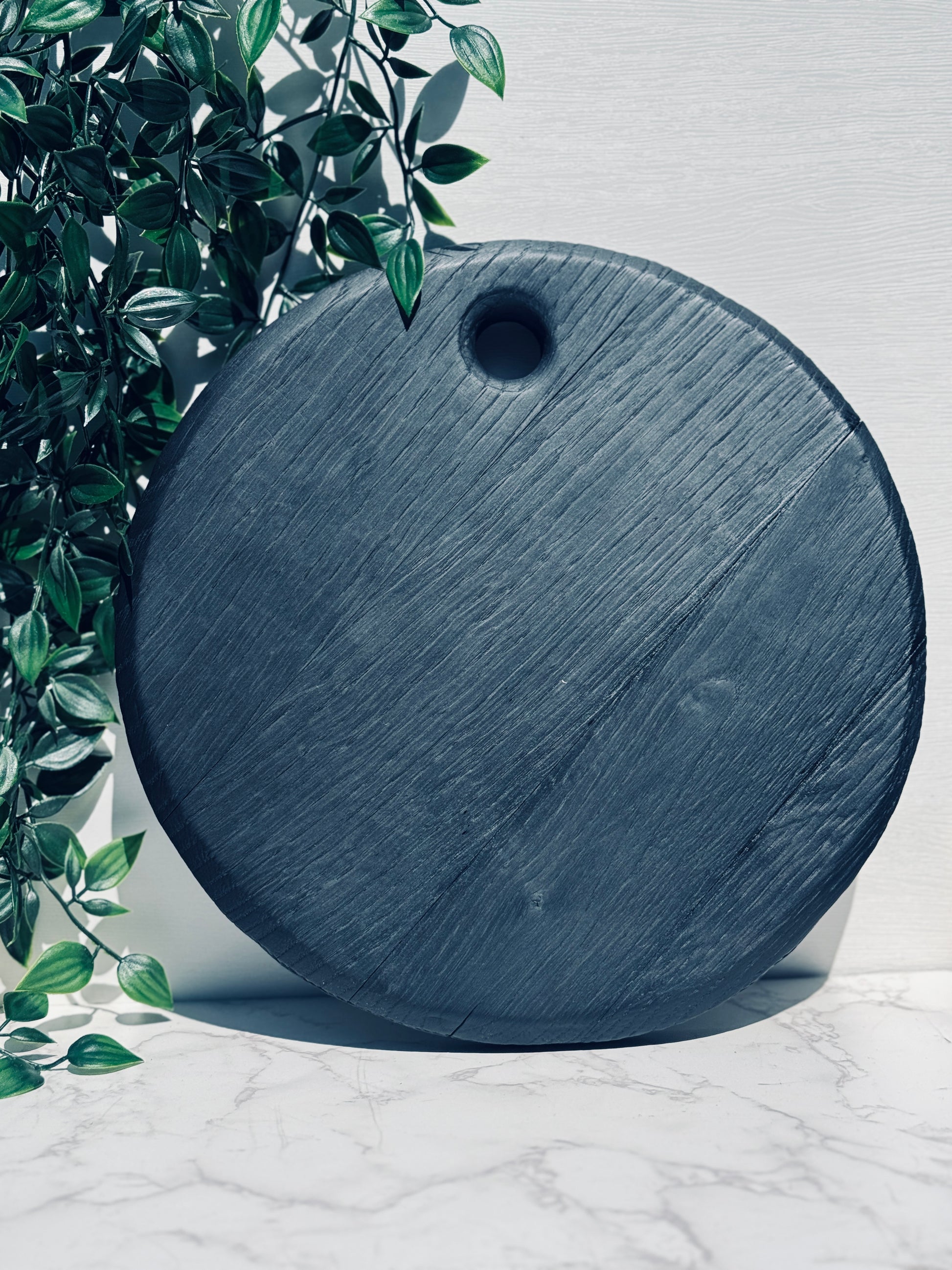 Full front view of the textured rim round noir board. Hanging plant in the background.